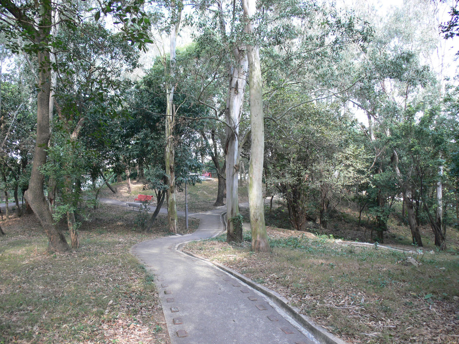 Photo 2: San Tin Park