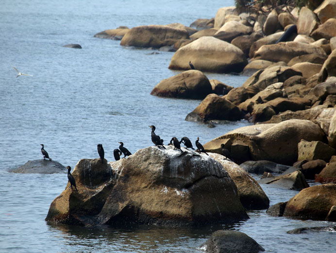 相片 2: 沙洲及龍鼓洲海岸公園