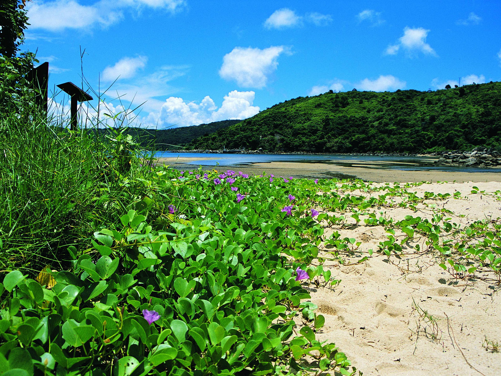 相片 3: 海下灣海岸公園