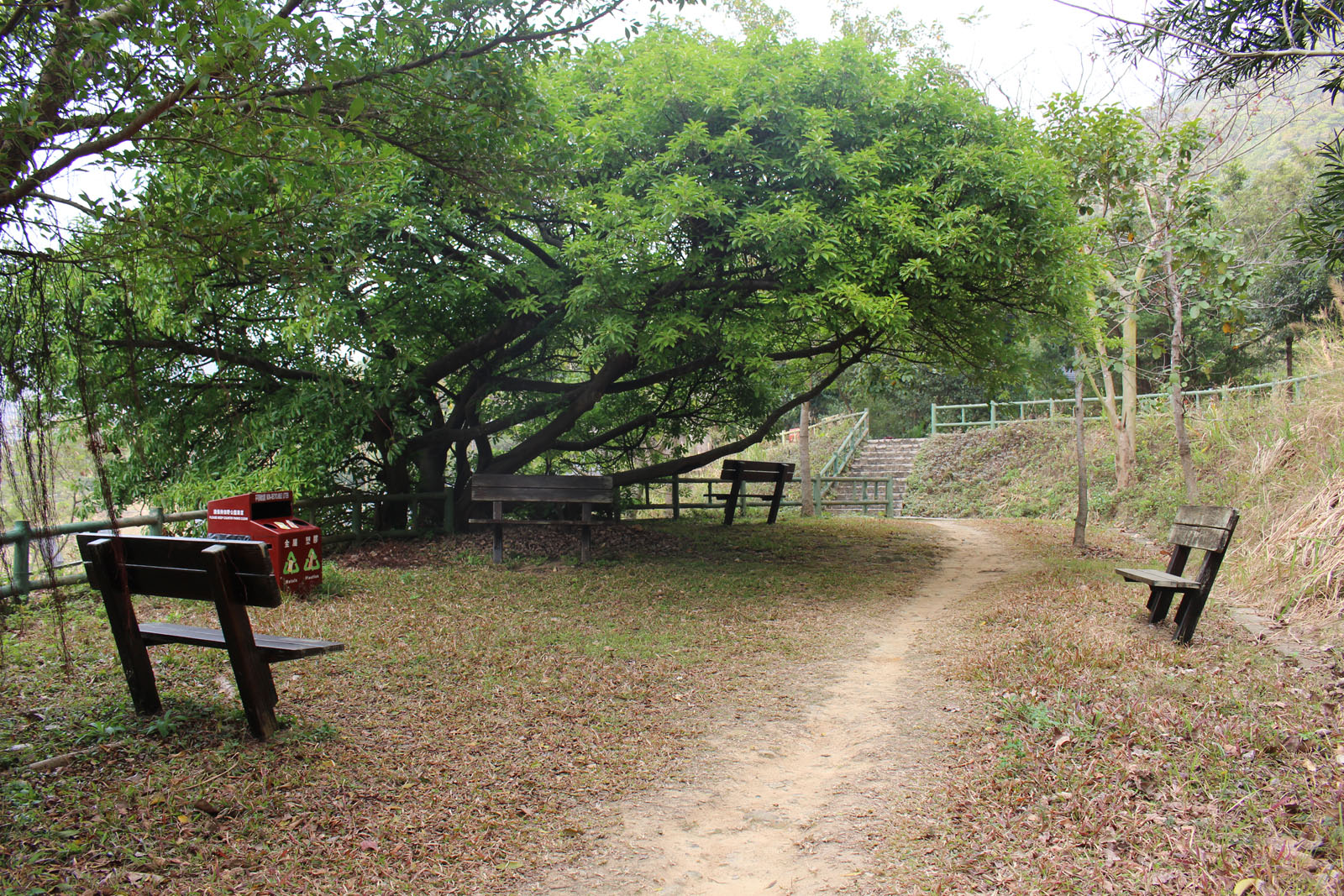 相片 5: 扎山道晨運園