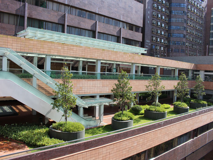 Photo 6: The University of Hong Kong - Pokfulam Main Campus