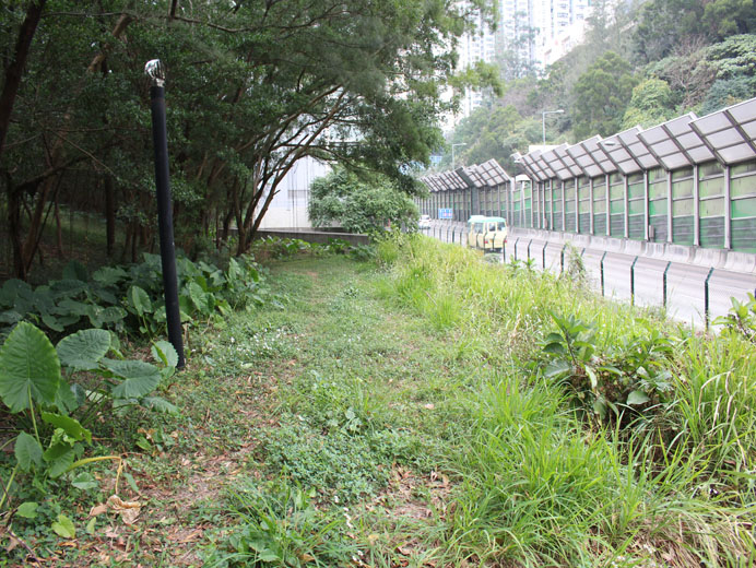 相片 3: 馬游塘(西)已關閉堆填區